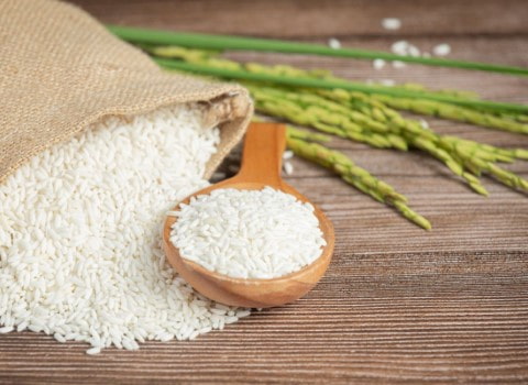 خرید برنج 5 ستاره فریدونکنار + قیمت فروش استثنایی